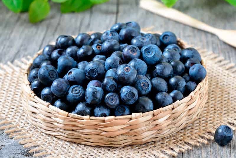 Bilberry Extract